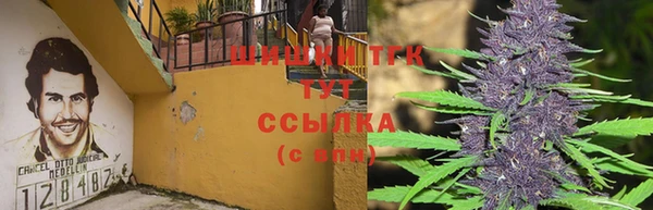 амф Алексеевка
