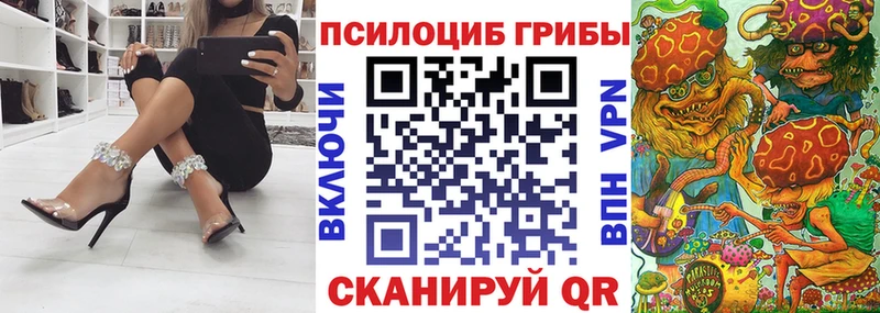 Галлюциногенные грибы Psilocybine cubensis Невьянск