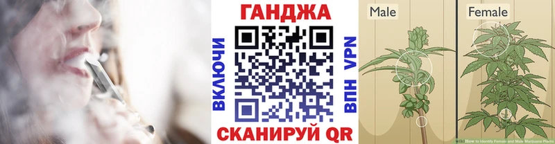 Бошки Шишки план  купить  сайты  Невьянск 